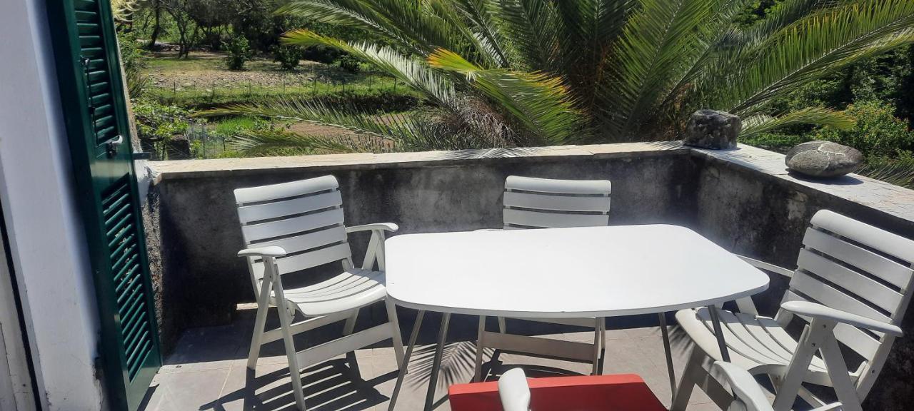 Ferienwohnung Vecchio Mulino Fontona Girasole Chiesanuova  Exterior foto
