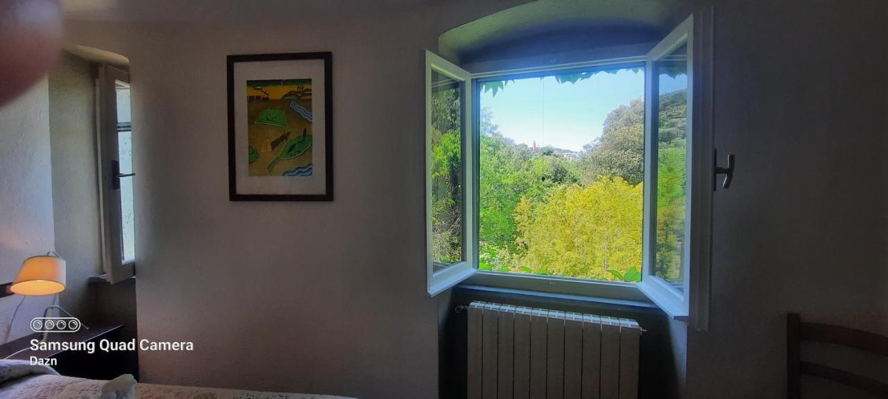 Ferienwohnung Vecchio Mulino Fontona Girasole Chiesanuova  Exterior foto