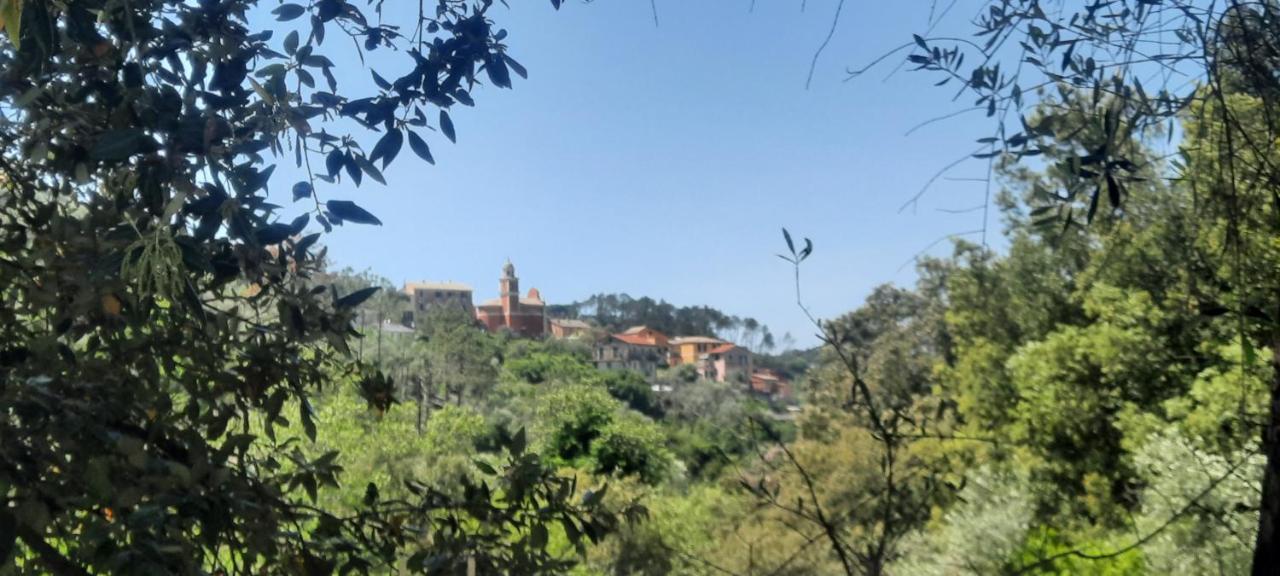 Ferienwohnung Vecchio Mulino Fontona Girasole Chiesanuova  Exterior foto